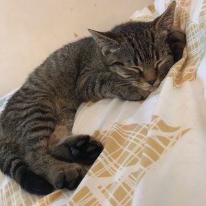 Meet your Posher, Sarah